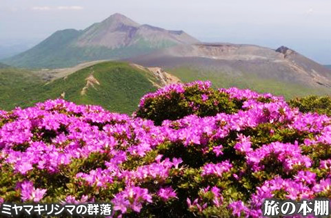 宮崎県と鹿児島県にまたがる霧島連山の最高峰