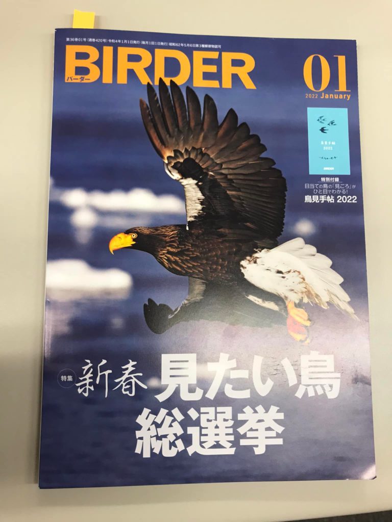 lrik　BIRDER 鳥類観察 2023.1～2024.8 lrik BIRDER 鳥類観察 2023.1～2024.8 lrik BIRDER 鳥類観察