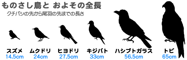 ものさし鳥