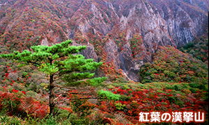 紅葉の漢拏山