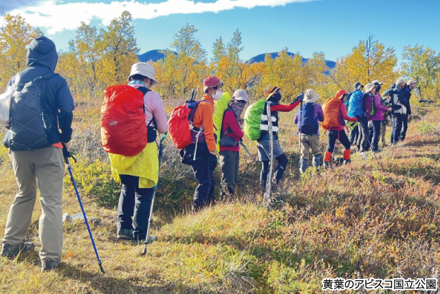 黄葉のアピスコ国立公園