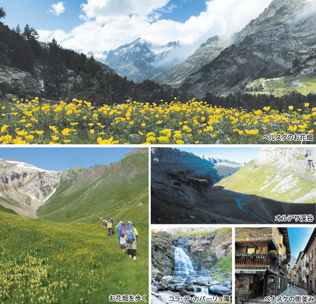 ベルスタのお花畑/お花畑を歩く/オルデサ渓谷/コラ・デ・カバーリョ滝/ベナスケの街並み
