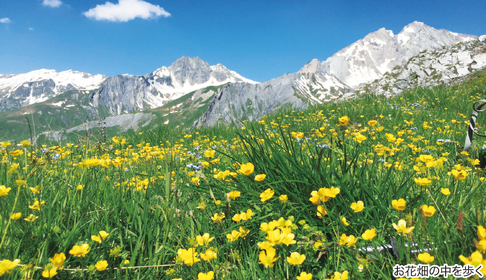 モンブラン山群一周 「ツール・ド・モンブラン」 10日間 - 海外の登山